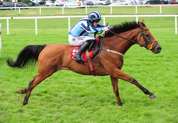 Theatre Run and Sean Flanagan pictured on their way to victory