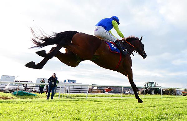Dinons comes home clear in Roscommon