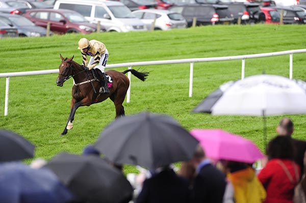 Stay Humble comes home an easy winner under Ruby Walsh