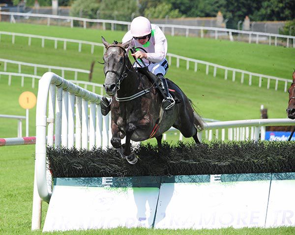 Karl Der Grosse and Ruby Walsh clear the last