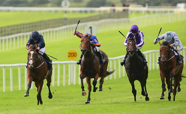 Anthony Van Dyck, far side, in front at the Curragh