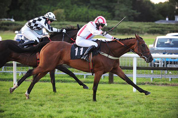 My Friend Aoife is ridden out by Jody Townend