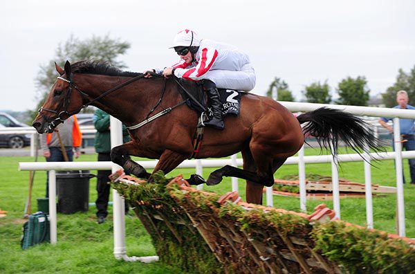 Optical Confusion jumps the last under David Mullins