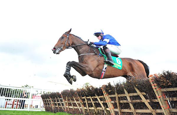 Petit Tartare and Shane Shortall on the way to victory at Listowel