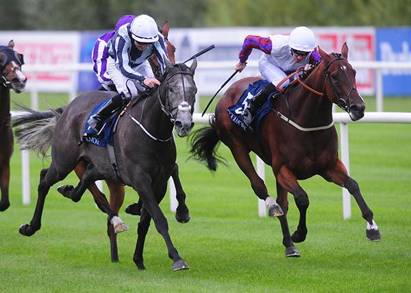 LAURENS (right) gets the better of Alpha Centauri to land the 2018 Matron Stakes (Group One) at Leopardstown