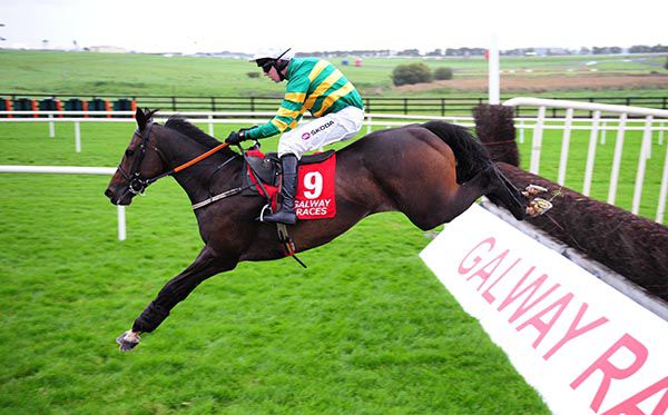 Winter Escape clears the last under Mark Walsh