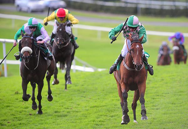 Doolough Lad (right) came home strong to land the penultimate event at Downpatrick under Brien Kane