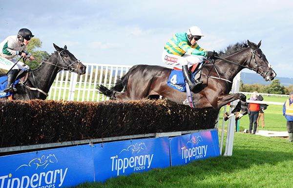 Le Richebourg winning the Like A Butterfly Novice Chase at Tipperary