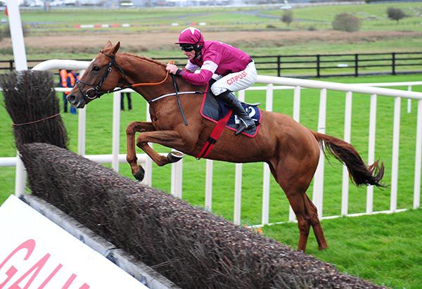 Woods Well in action at Galway