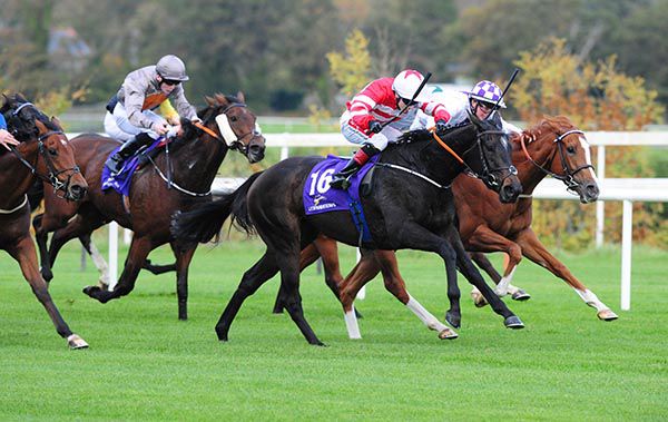 Innamorare (red and white) pictured on her way to victory at Leopardstown on Saturday