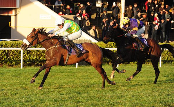 Owenacurra Lass and Declan Queally see off Positive Outlook and Sean O'Keeffe