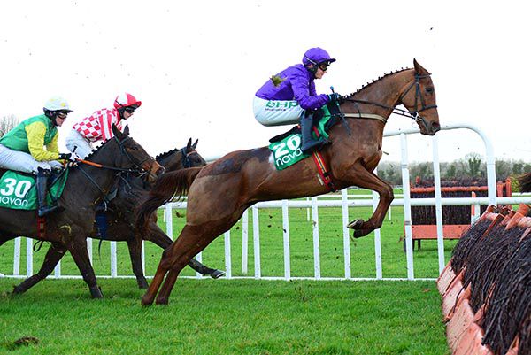 Buildmeupbuttercup (purple) is one of five runners for Willie Mullins in the Galway Hurdle