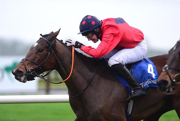 Eoin O'Connell drives Clementina home