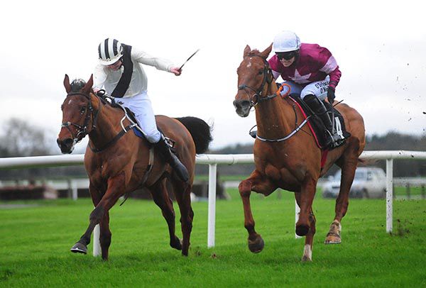 Run Wild Fred (right) and Lisa O'Neill beating Fiddlerontheroof