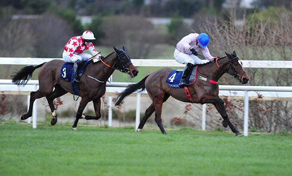 Santa Rossa and Finny Maguire go on from long-time leader Jeremys Flame