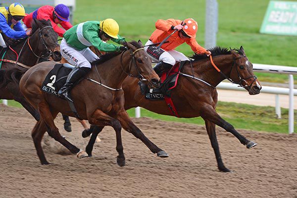 Dalileo (green and white) seen finishing second at Dundalk in March