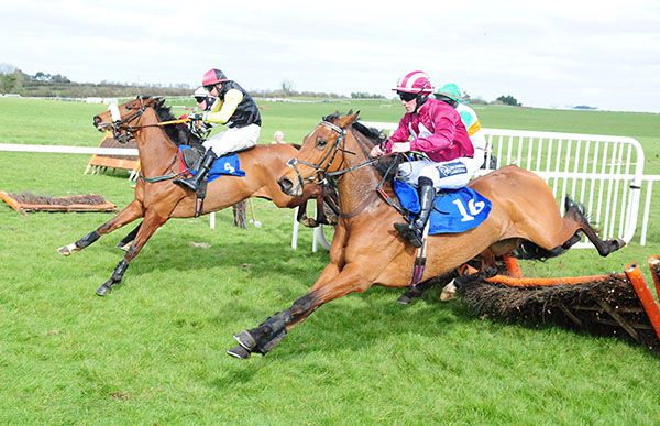 Iconic Lady (nearside) comes through to take the opening race spoils at Thurles under Jordan Canavan