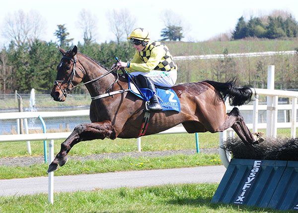 Breaken heads the betting for the beginners' chase at Leopardstown