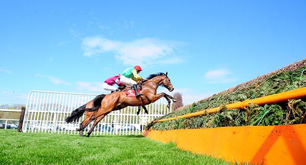 Beyond The Law jumping upsides Rathnure Rebel