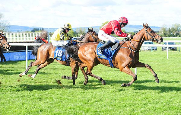 Cray, red, winning at Tipperary