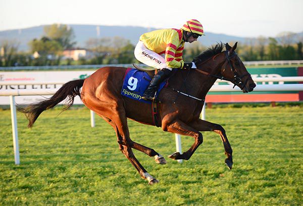 The Brass Man and Patrick Mullins pictured on their way to victory