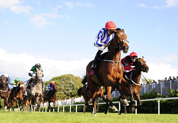 Pleasurable leads home her rivals under Shane Foley
