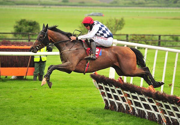 Ash Hill comes home clear in Punchestown