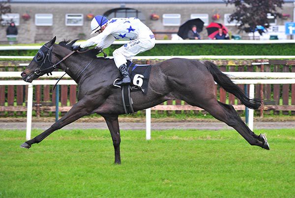 Cityman and Ben Coen win the BetVictor Handicap at Tipperary