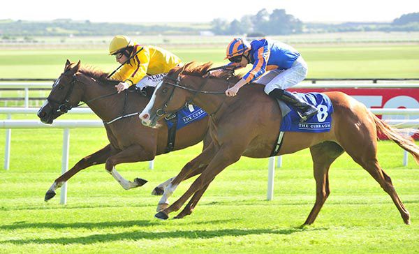 Windracer and Shane Foley hold off Love 