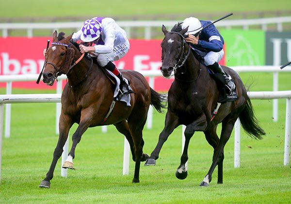 Twilight Payment and Kevin Manning fend off Latrobe and Donnacha O'Brien