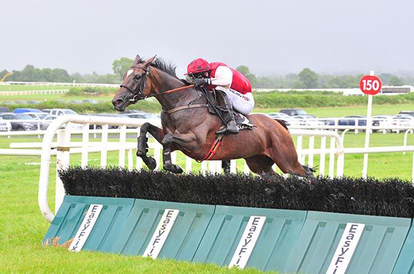 PAYNGO and Danny Mullins jump the last in a clear lead at Kilbeggan 
