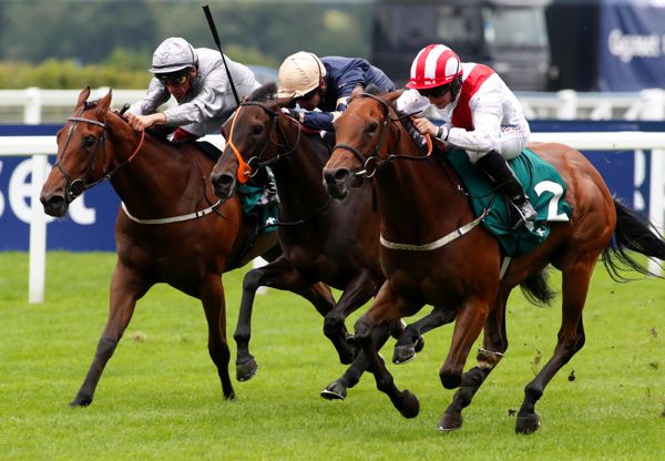 Under The Stars (near side) winning the Princess Margaret Stakes at Ascot