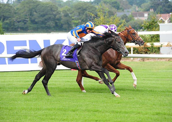 Agitare (far side) was narrowly denied on debut at Leopardstown.