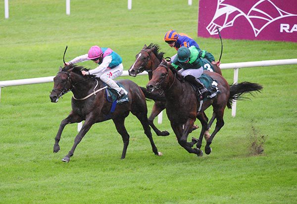 Siskin beating Monarch Of Egypt and Royal Lytham in Phoenix Stakes at the Curragh last year