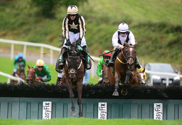 White and black silks Sean Flanagan comes to win on Star Adventure