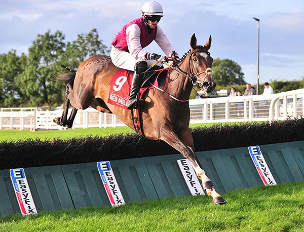 Le Hachette jumps the last under Darragh O'Keeffe
