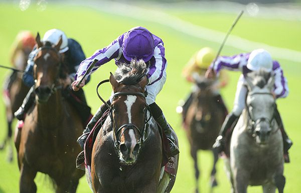Southern France rewards favourite backers