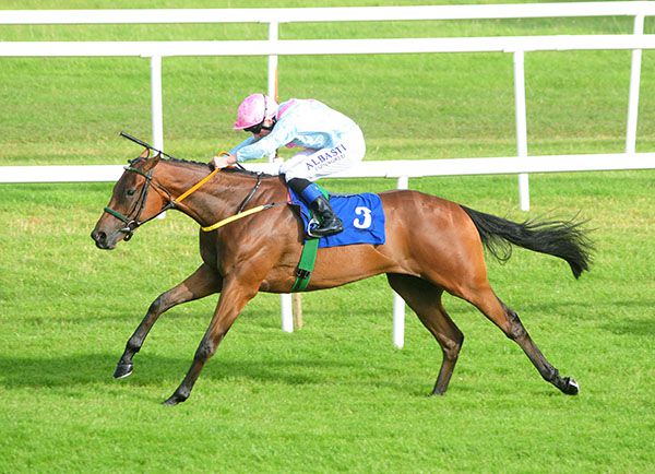 Helvic Dream will bid for further Roscommon gains