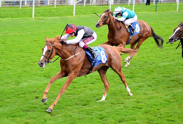 Search For A Song wins under Oisin Murphy