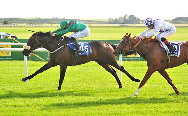 Sinawann winning his maiden at the Curragh last August
