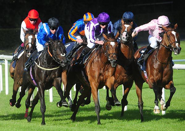 Magical (purple silks) is sent on by Ryan Moore to win the QIPCO Irish Champion Stakes