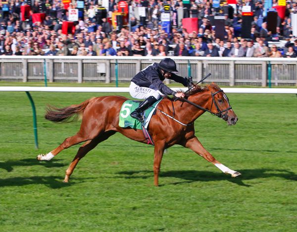 Millisle stretching out to win at Newmarket last year.