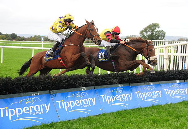 Nose-banded Share The Honour (Philip Enright) beat Jake Peter (Darragh O'Keeffe) at Tipperary
