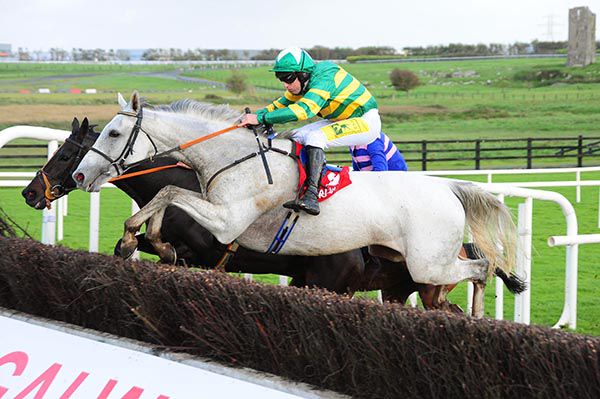 Portmore Lough puts in a good jump at Ballybrit