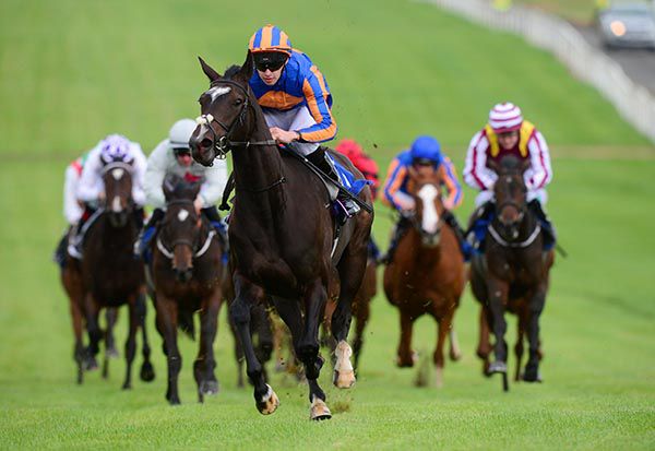 Peaceful takes the Fillies' Maiden at Thurles