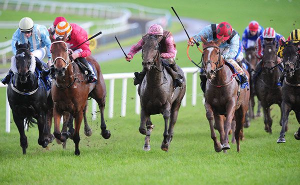 Blacklooks (centre in brown and pink colours) gets up in the last stride to touch off Ecoeye (red)