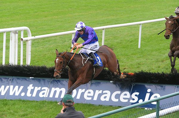 Golden Glen clears the last under Brian Hayes
