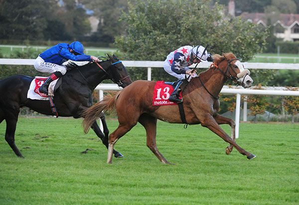Melburnian (right) and Niall McCullagh get the better of Halimi 