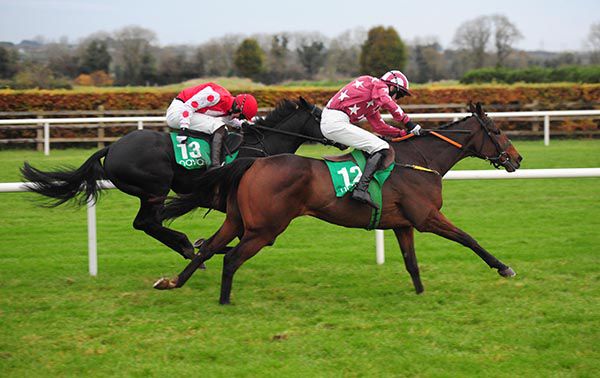 Joshua Webb and Eoin Walsh (near side) defeat Jungle Junction in the bumper           