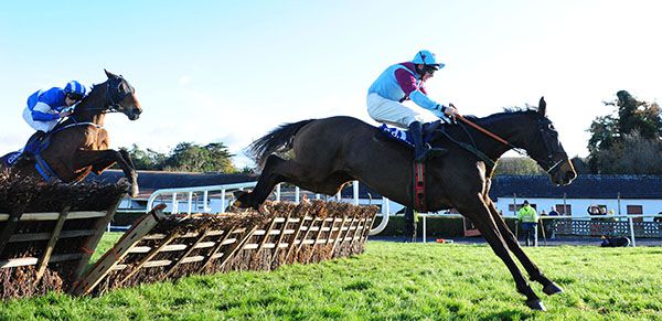 Westerner Point and Philip Enright win the Clonmel Oil Service Station Handicap Hurdle